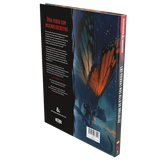 D&D Las Tierras más allá de Brujaluz