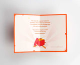 Smart games. Pack Home: Amateur I